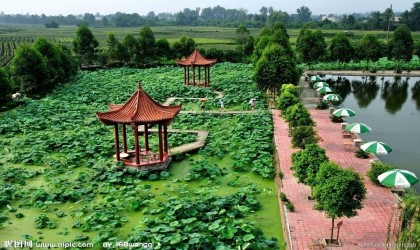 北京求知型乡村旅游综合体空间设计之绿化设计可以创造氛围