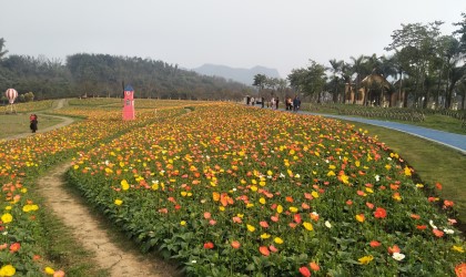 济南探索型乡村旅游综合体空间设计之绿化设计的其他关注点